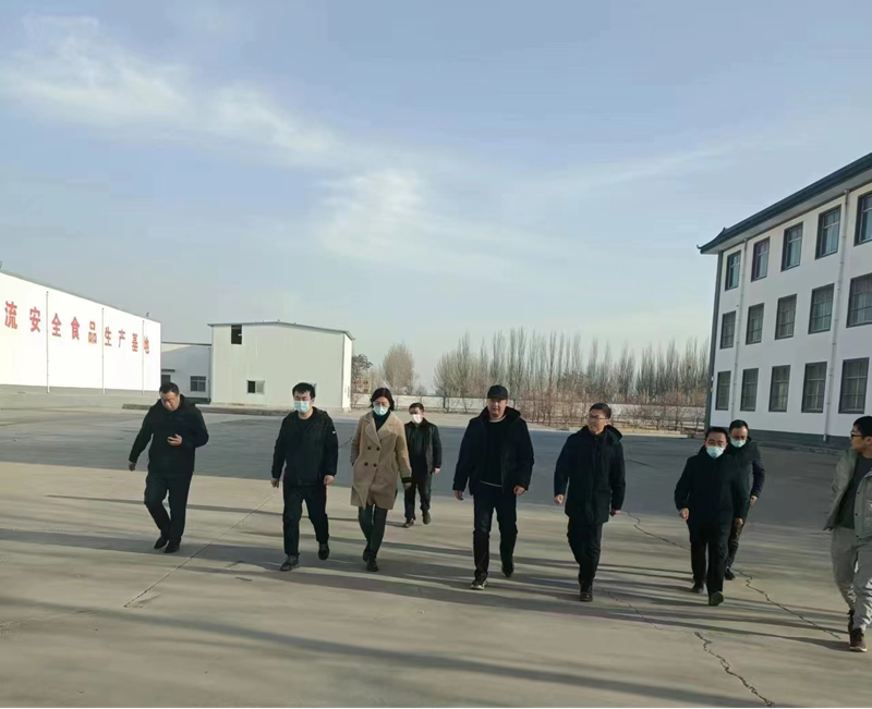 石嘴山市副市長、惠農(nóng)區(qū)委書記王宇翔蒞臨寧夏興康恒潤農(nóng)業(yè)科技發(fā)展有限公司調(diào)研