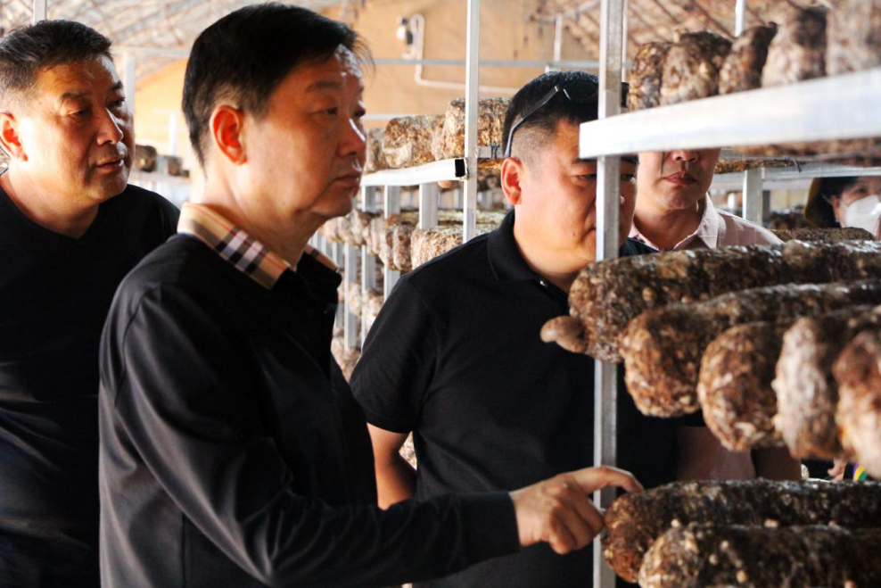 合作共贏 優(yōu)勢互補 打造菌菇產業(yè)新高地——岳氏集團董事長岳平安一行到大武口區(qū)菌菇產業(yè)園交流考察