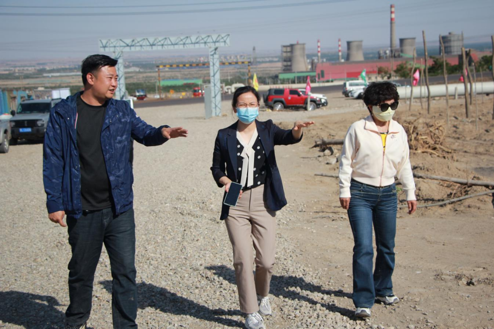 石嘴山市農(nóng)業(yè)農(nóng)村局副局長徐永霞、農(nóng)經(jīng)中心主任王曉斌一行蒞臨基地檢查指導(dǎo)