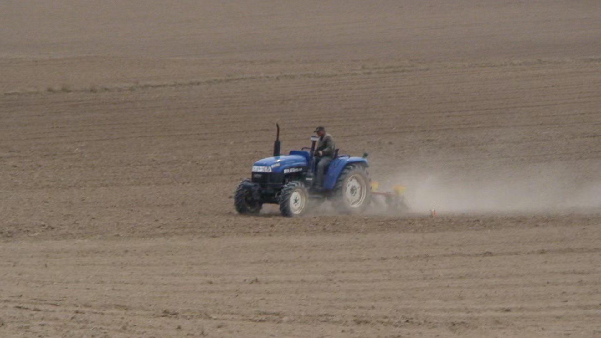 父親節(jié)特輯｜岳氏家族里的“父親力”：從血脈到事業(yè)，我們這樣讀懂“爸爸”